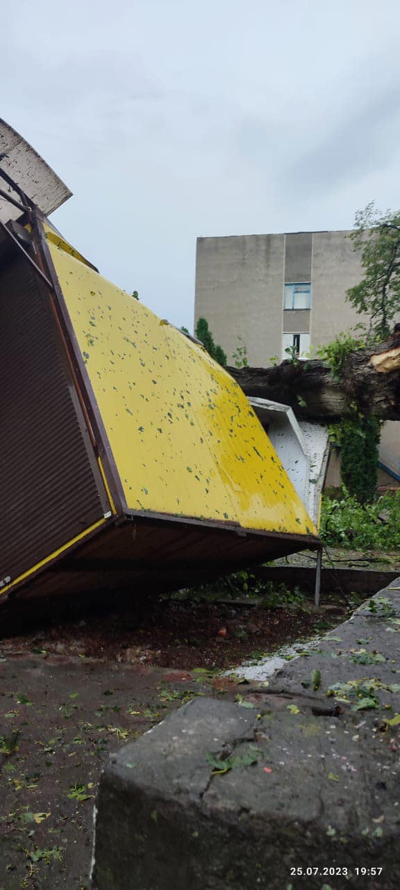 Падали дерева, «злітали» дахи: на Тернопільщини злива та град наробили лиха. Відео