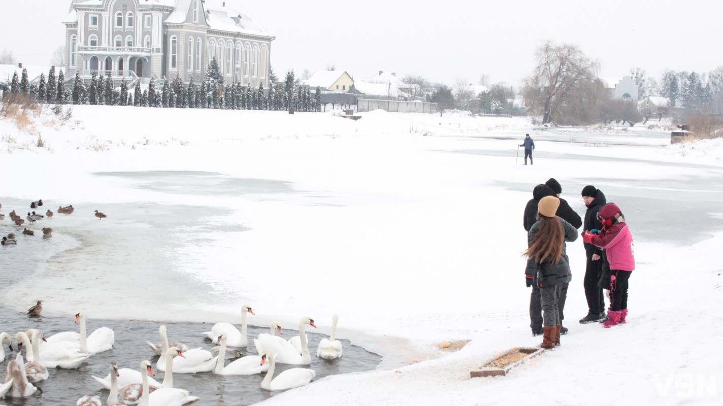 Ковель після снігопадів: фоторепортаж із засніженого міста