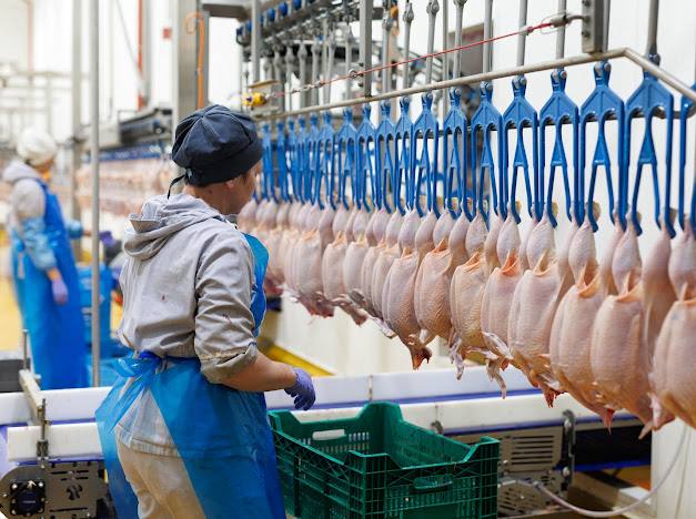 60 млн євро інвестицій у Волинь: Avesterra Group Дмитра Добкіна відкрила новий завод