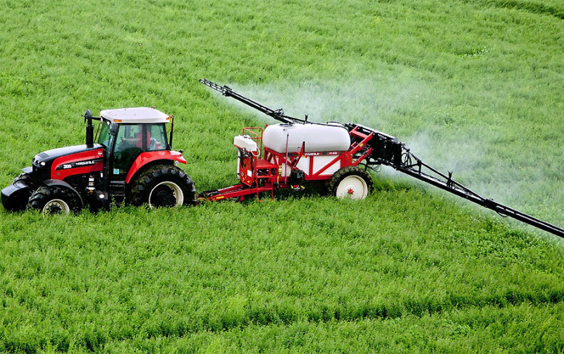 «Бджоли вмирають першими»: як стан пасік на Волині сигналізує про небезпеку для людей