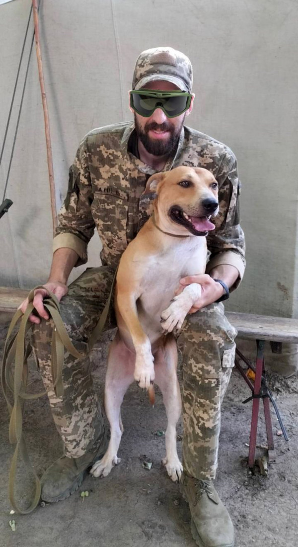 Чотирилапий боєць: ЗСУ врятували собаку Джека з Миколаєва