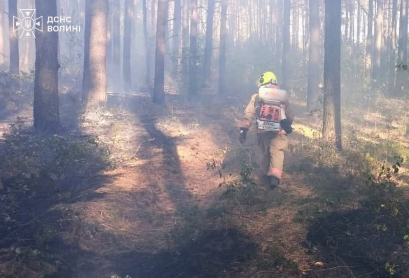 На Волині за добу вигоріло понад шість гектарів у п’яти локація: оштрафували одного палія