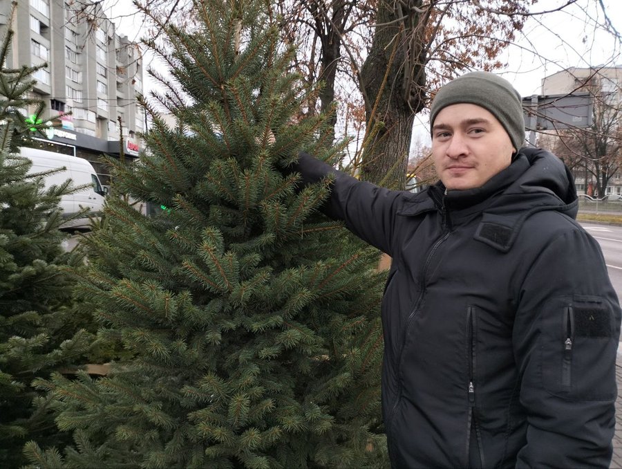 У Луцьку вже можна купити ялинку. Скільки коштують хвойні дерева до свят