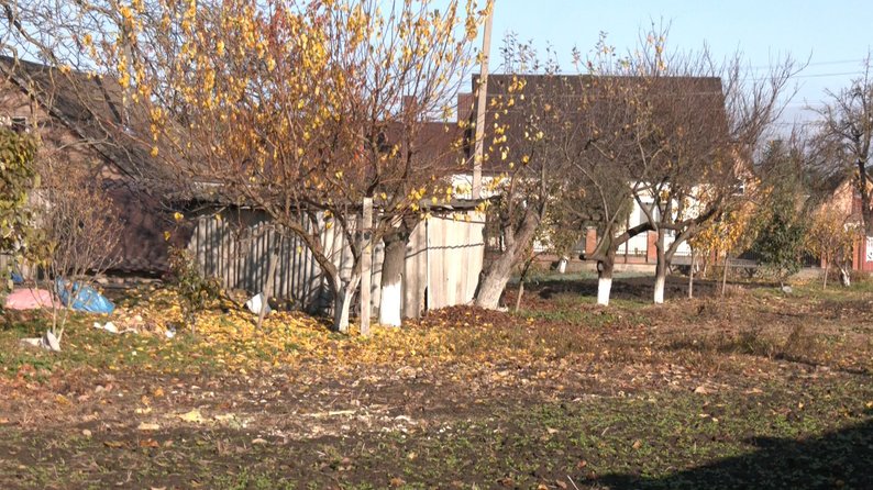 Куди комунальники дівають опале листя у Луцьку