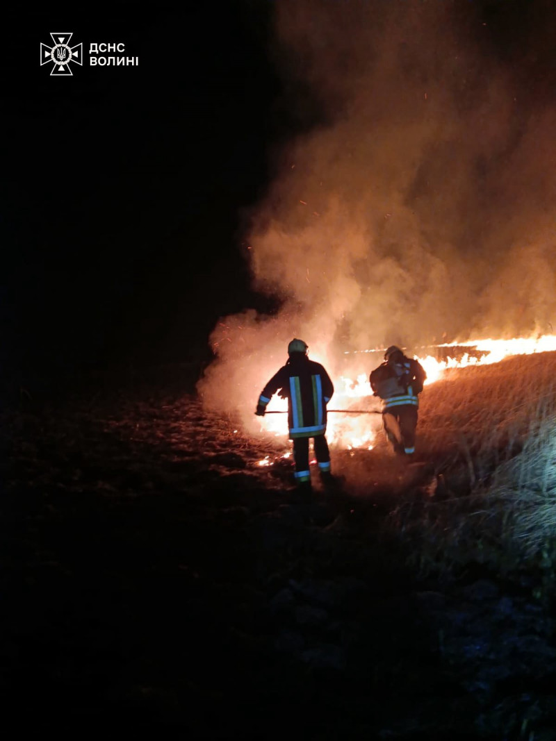 На Волині вигоріло понад 5 гектарів території: рятувальники ліквідували 4 пожежі