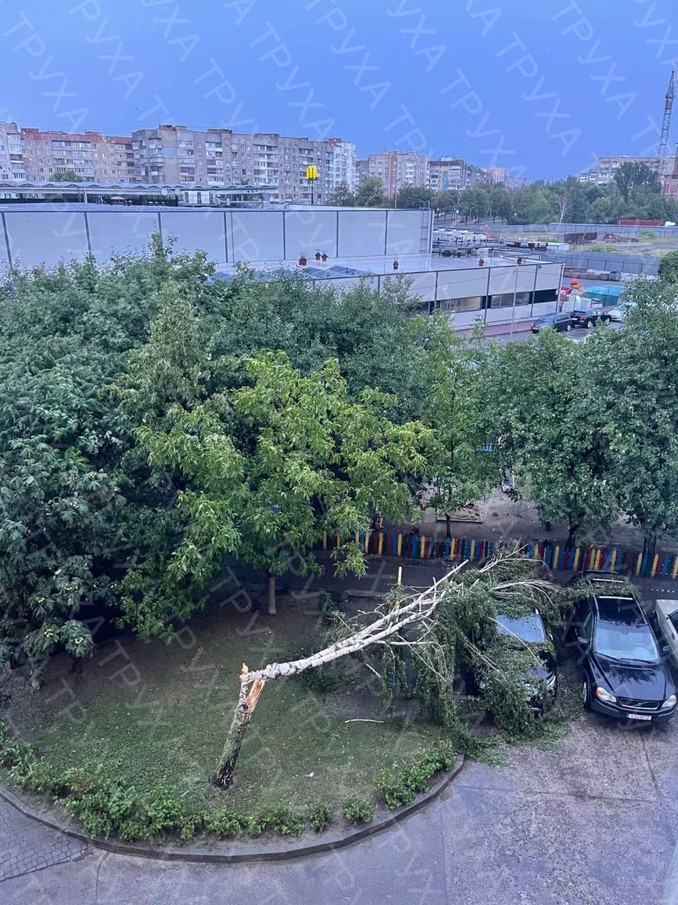 У Луцькому районі негода повалила дерева