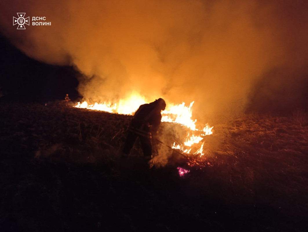 На Волині протягом доби вигоріло близько 16 гектарів сухої трави