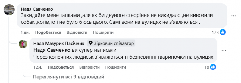 У Луцьку на дорослих та дітей знову нападають зграї собак: що відомо та як діяти
