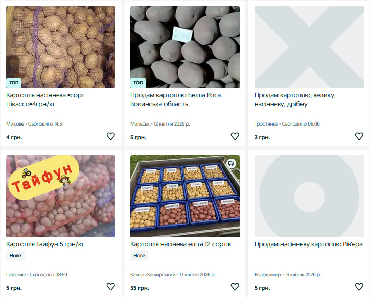 Скільки коштує насіннєва картопля на Волині: огляд цін та сортів