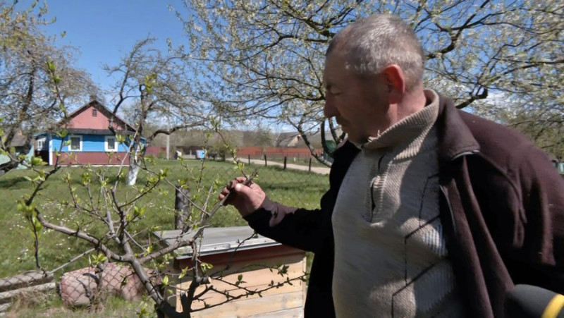 На Волині через заморозки загинув цвіт ранніх фруктових дерев