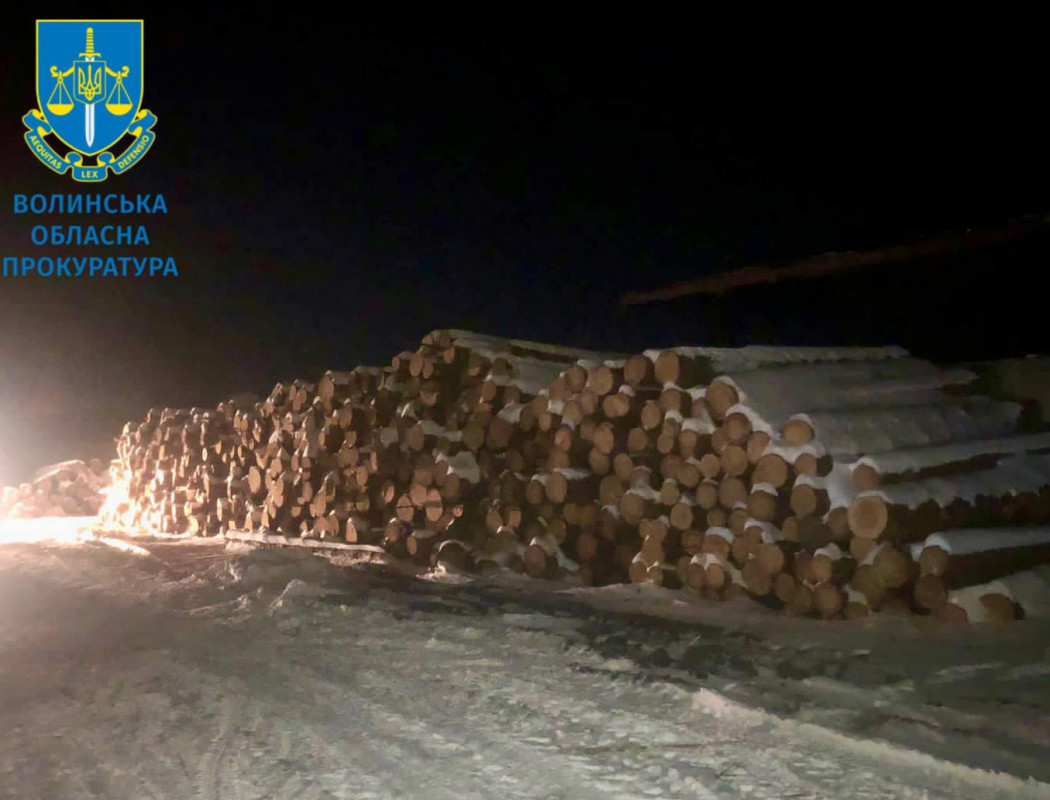 На Волині викрили масштабну схему розкрадання деревини з держлісгоспів. ФОТО