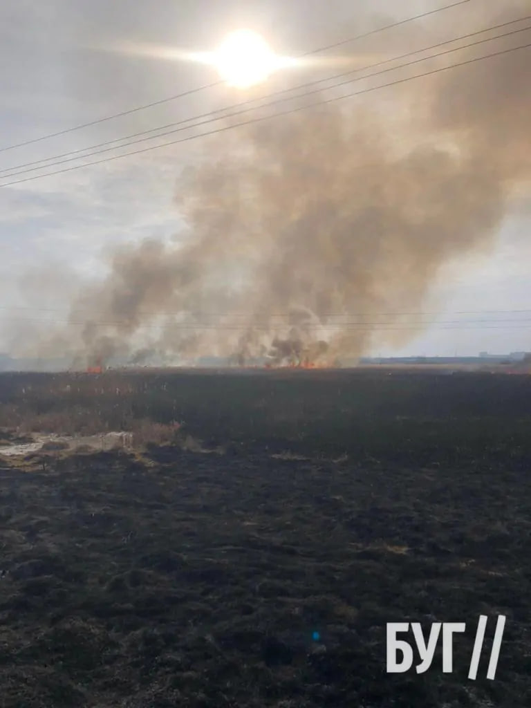 На Волині горить два гектари поля