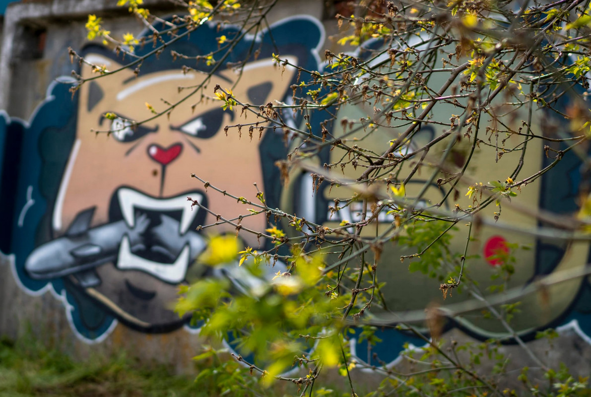 Кіт, що витісняє війну: художник з Луцька став співавтором графіті в Ірпені