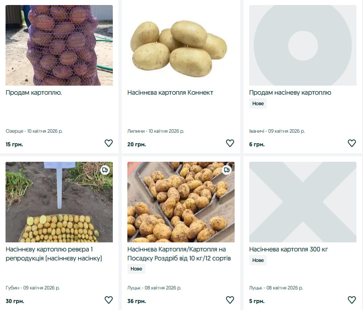 Скільки коштує насіннєва картопля на Волині: огляд цін та сортів