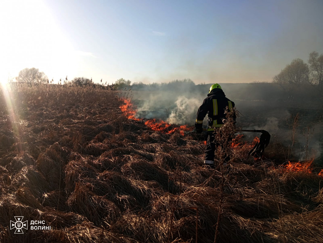 Вогонь підбирався до будинків: за вихідні на Волині вигоріло понад 30 гектарів сухостою