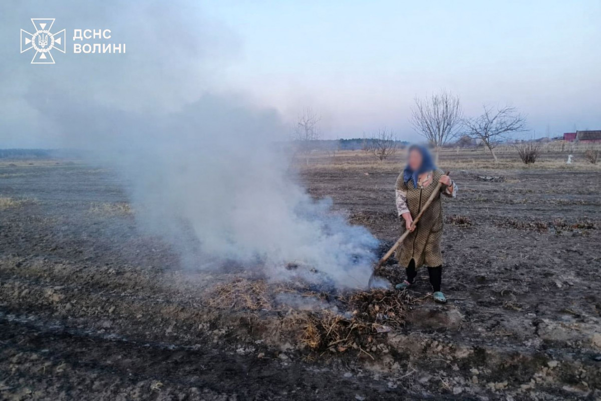 На Волині спіймали на гарячому палійку сухостою