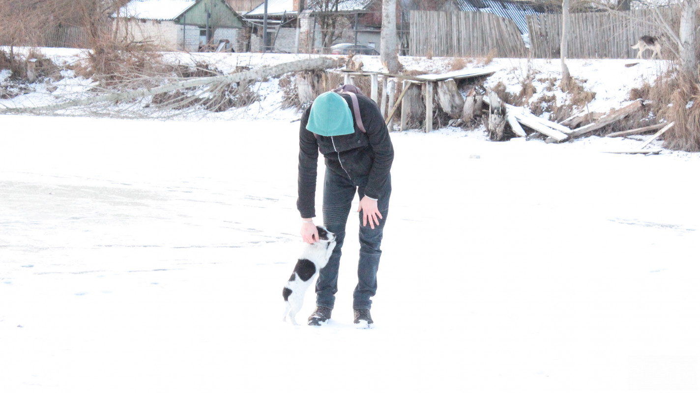 Крига 10 сантиметрів та жерлиці на щуку: фоторепортаж із зимового ставка у селі на Волині