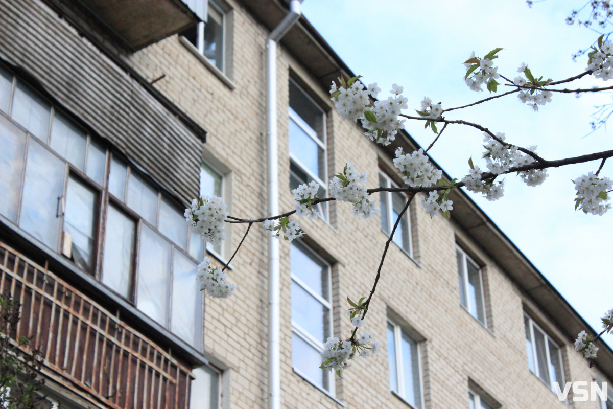 Компенсація за посушливий березень: якою буде погода у квітні на Волині