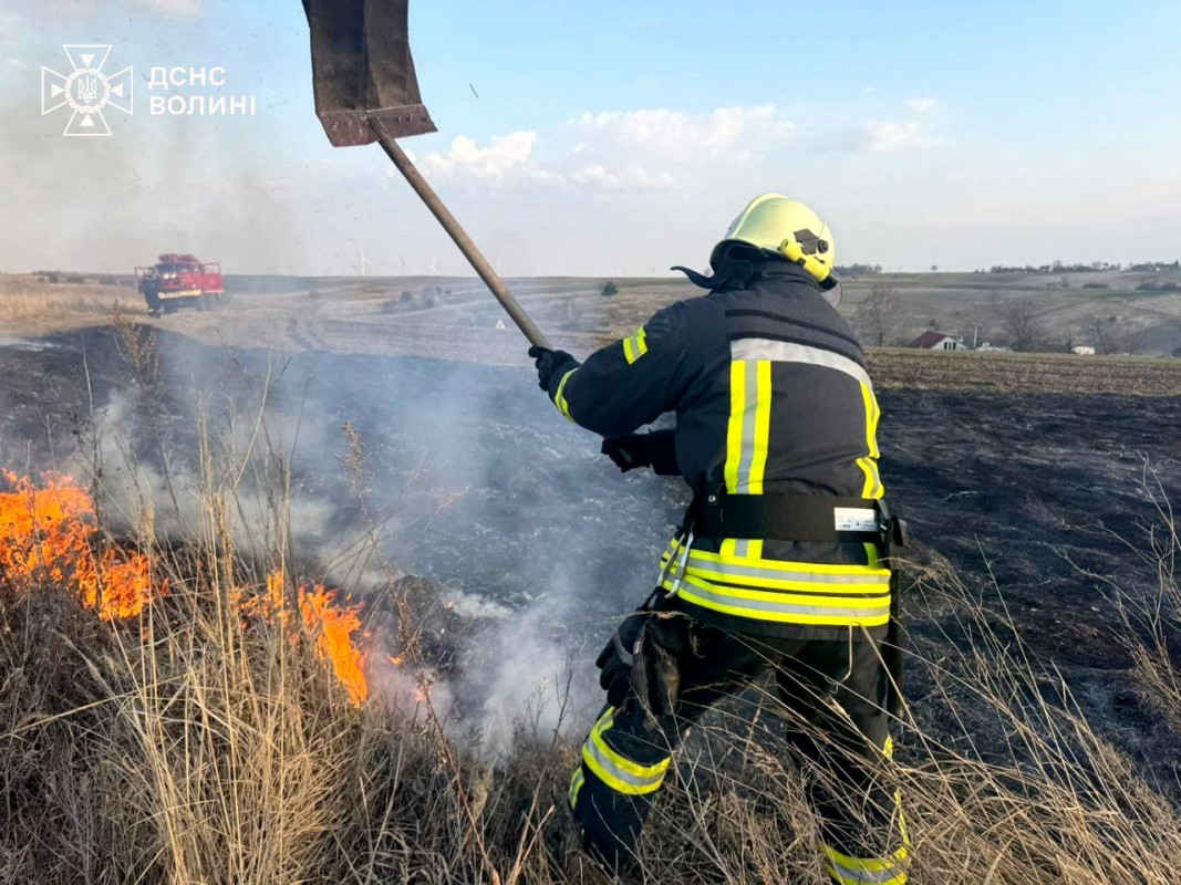 На Волині спіймали на гарячому палійку сухостою