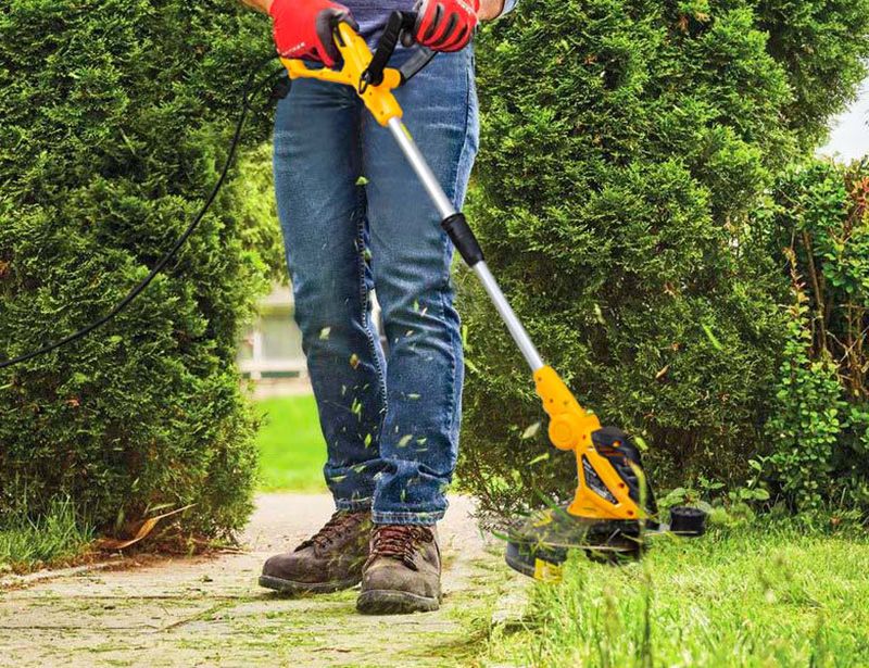 Професійний догляд за газоном і садом: як вибрати інструменти
