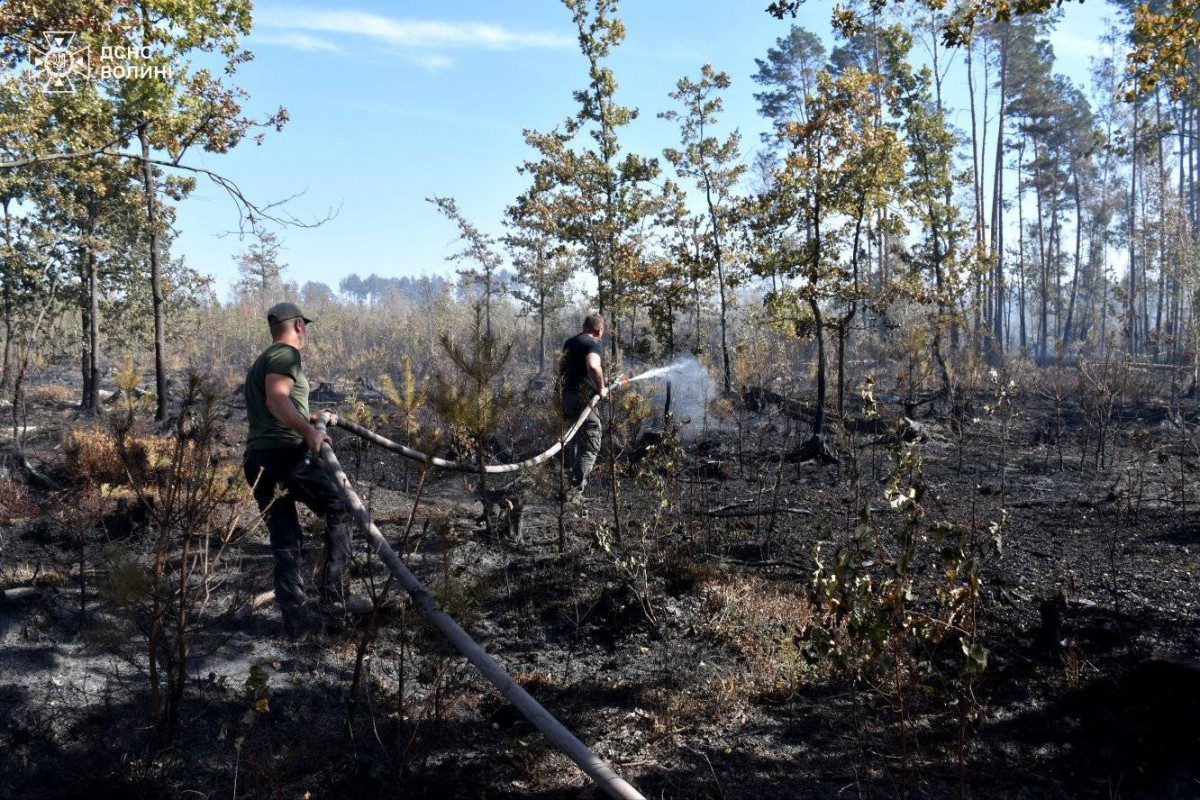 У Луцькому районі триває лісова пожежа: ліквідовано 7 га, залишилося 18 га