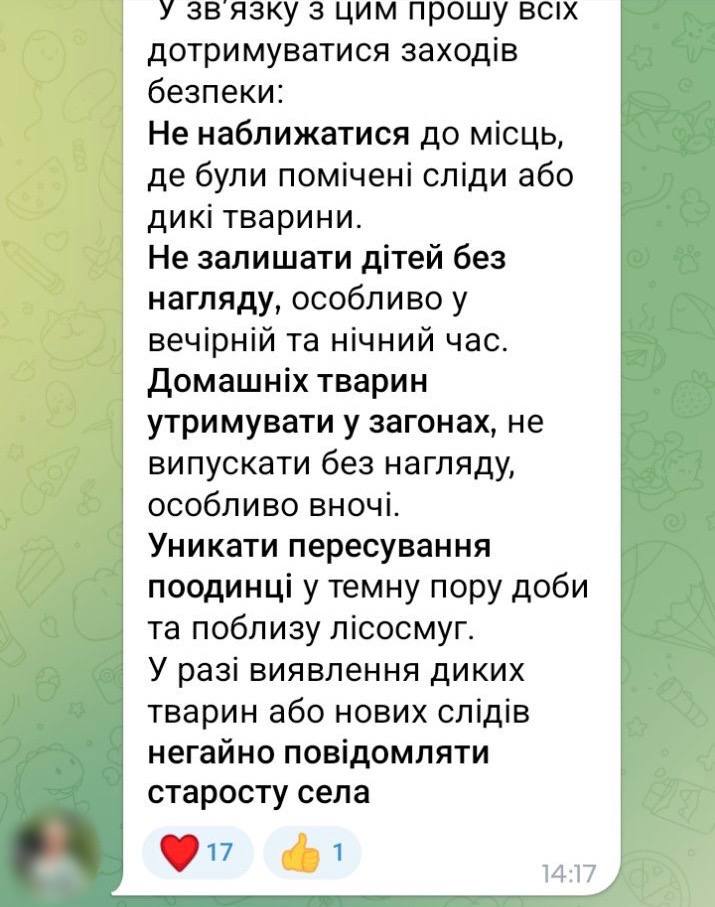 «Тихо заходять у двори й убивають»: у селі на Волині хижаки нападають на домашніх собак