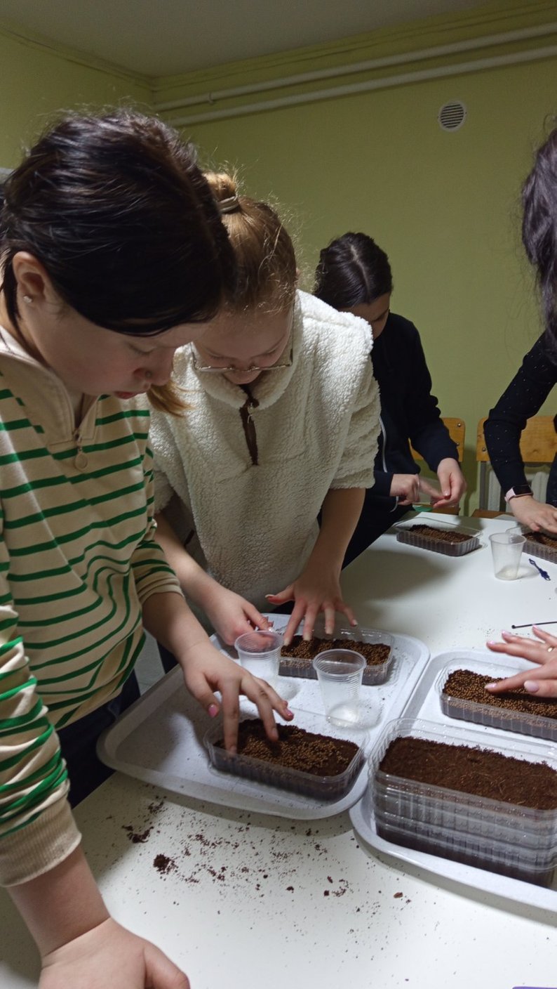 На Волині в укритті ліцею учні вирощують мікрозелень та навчаються підприємництву