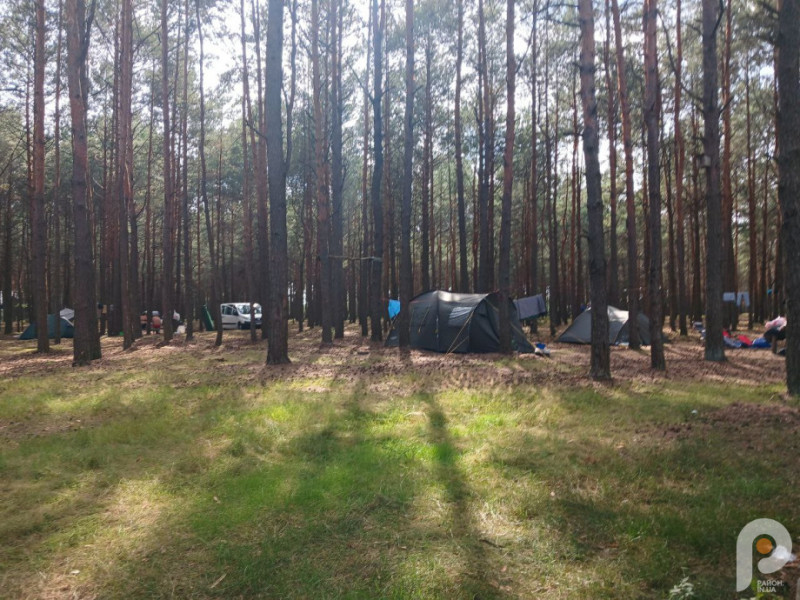 Озеро Пісочне на Волині: як відпочити серед соснових лісів і скільки це коштує
