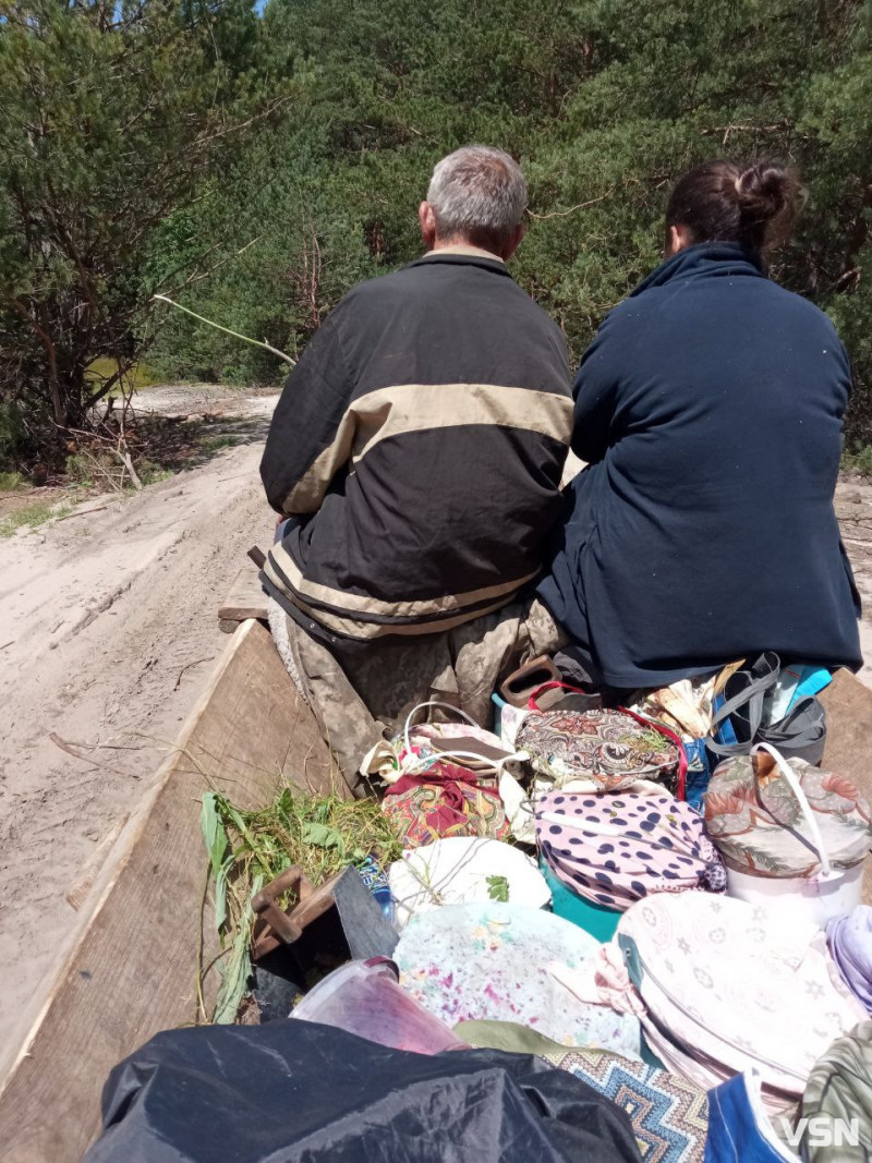 За пів дня – тисяча гривень: на Волині у розпалі чорничні заробітки