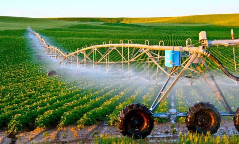 Агроволокно чи димлення: як врятувати волинський город від морозів?