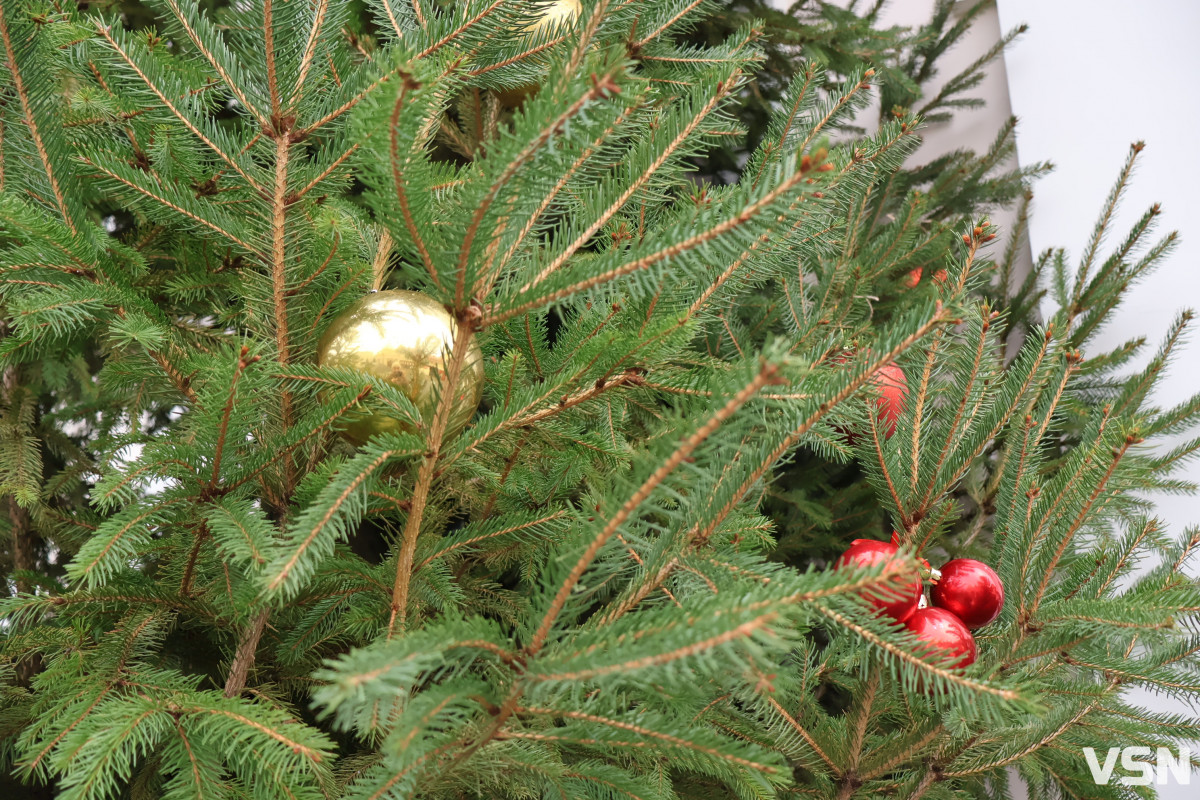 Змінилася дата в календарі, але не змінилася суть свята: священник з Луцька про День святого Миколая