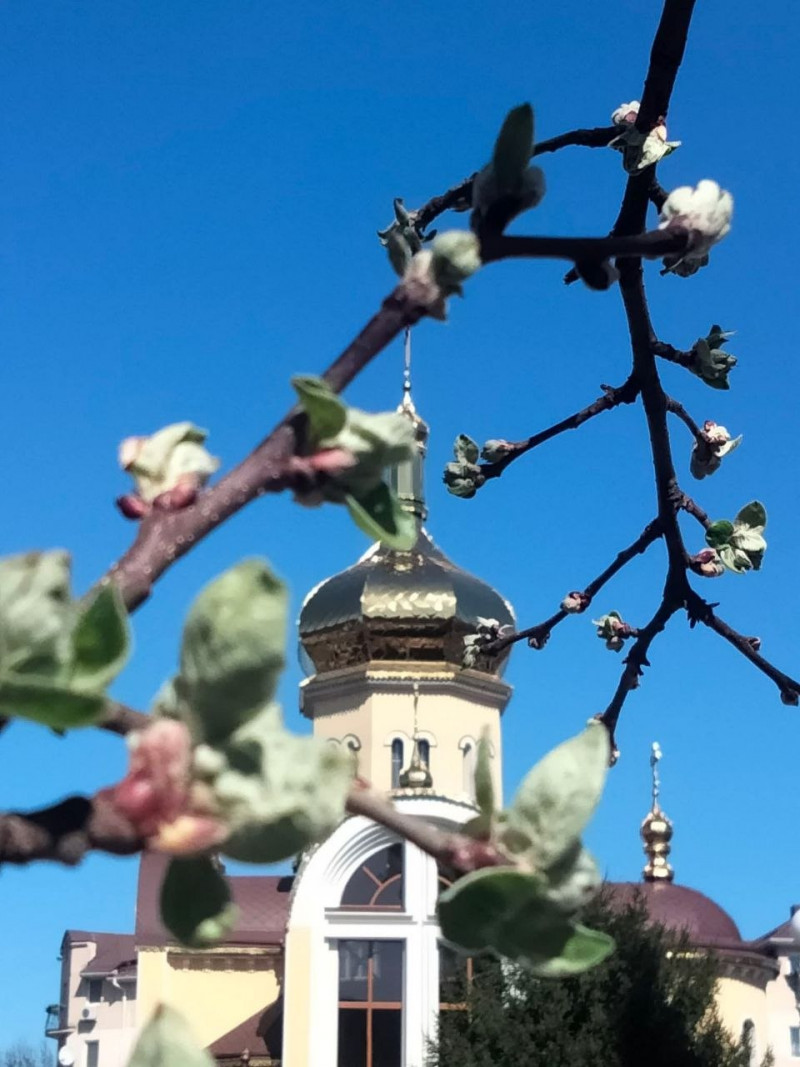 Коли у Луцьку святитимуть паски: розклад богослужінь у храмах міста