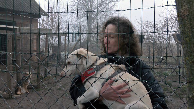 Волонтерка з Волині допомагає прилаштовувати собак з прифронтових територій