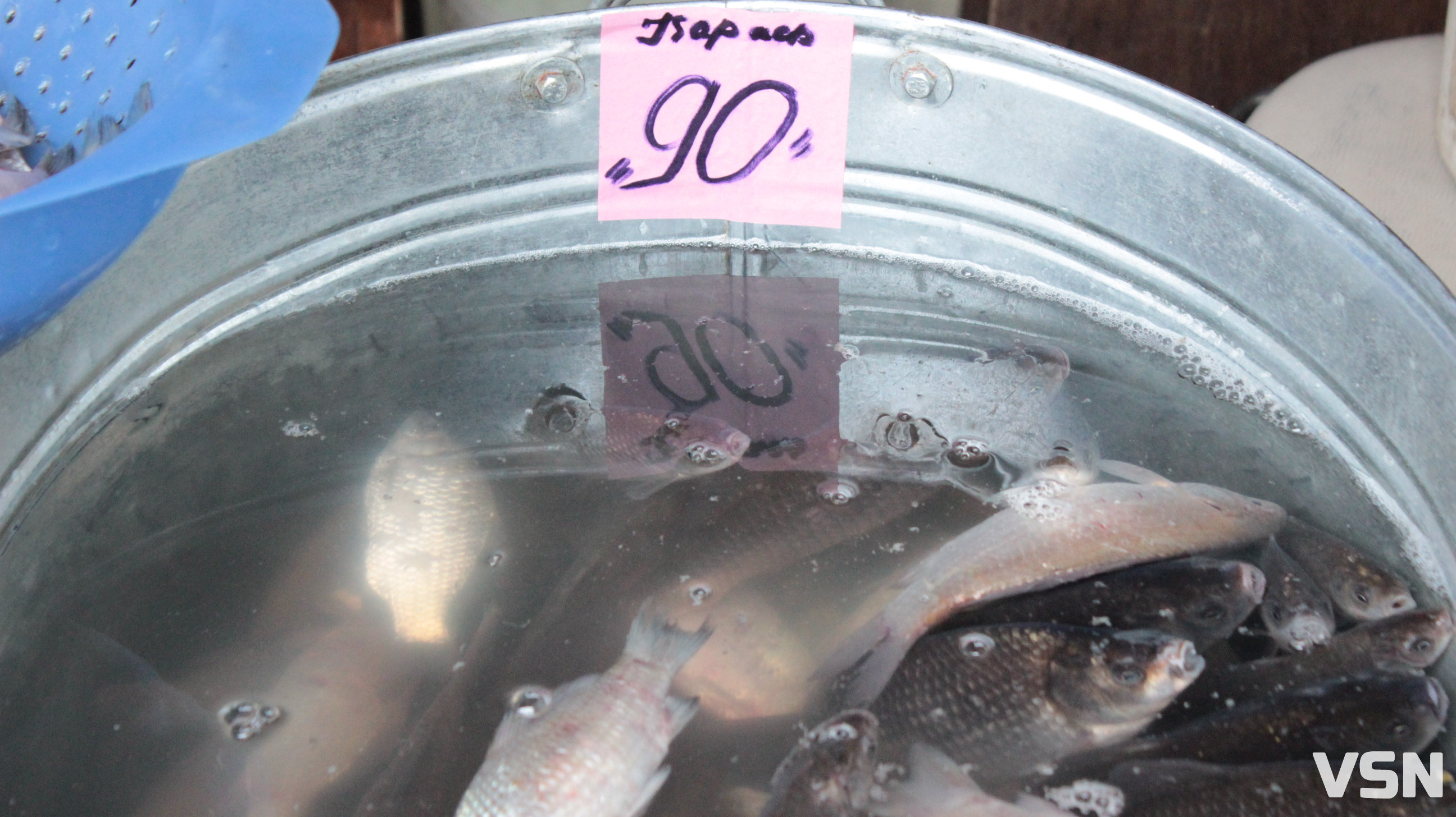 Скільки у Луцьку на ринку коштує жива риба?