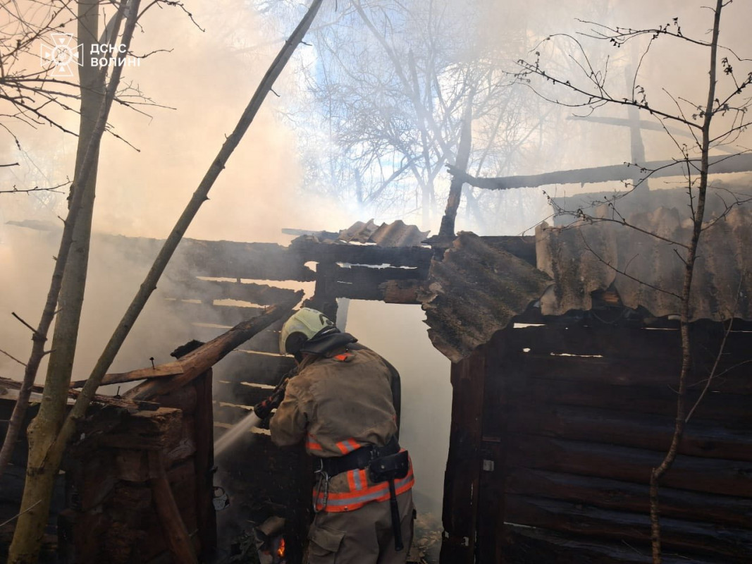 На Волині вигоріло понад 5 гектарів території: рятувальники ліквідували 4 пожежі