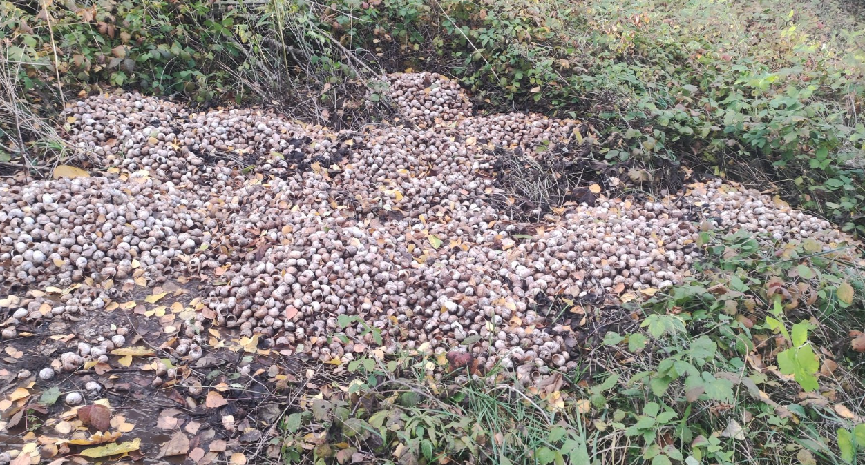 «Роблять трагедію з дрібниць»: після «равликового скандалу» на Волині фермер прокоментував ситуацію