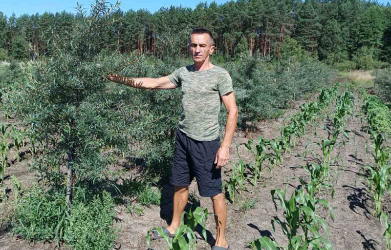 Від фронту до ферми: ветеран Сергій Балай вирощує фундук, обліпиху та кукурудзу