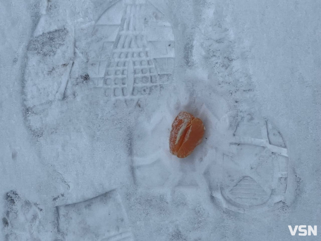 Від перших снігів до лютневих відлиг: якою була зима у Луцьку. Фоторепортаж