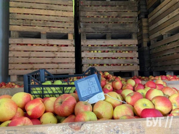 Волинські фермери отримали мільйон на власну справу та створили яблуневий сад