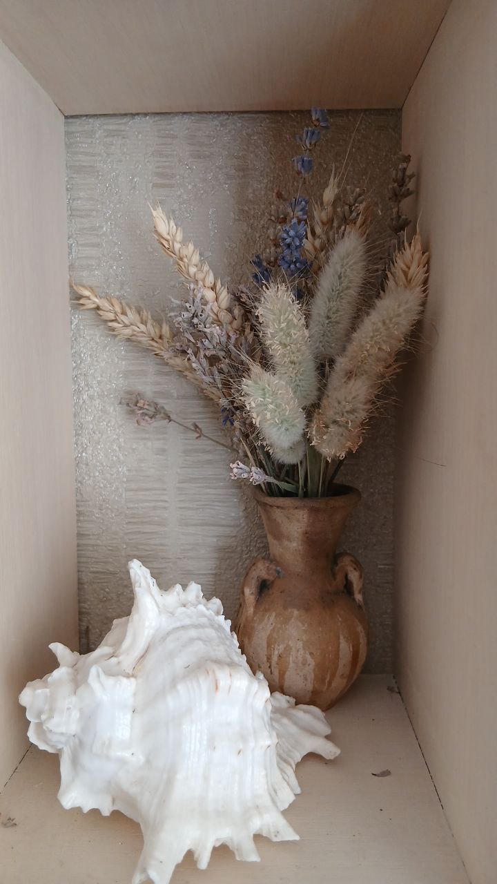 Як виростити зайцехвіст у саду та вдома: прості поради від досвідченої квітникарки з Волині