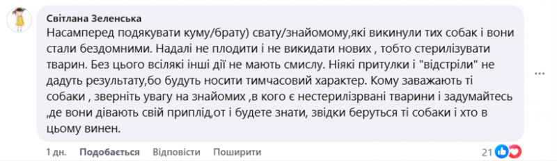 У  Нововолинську зграї безпритульних собак лякають дітей і батьків