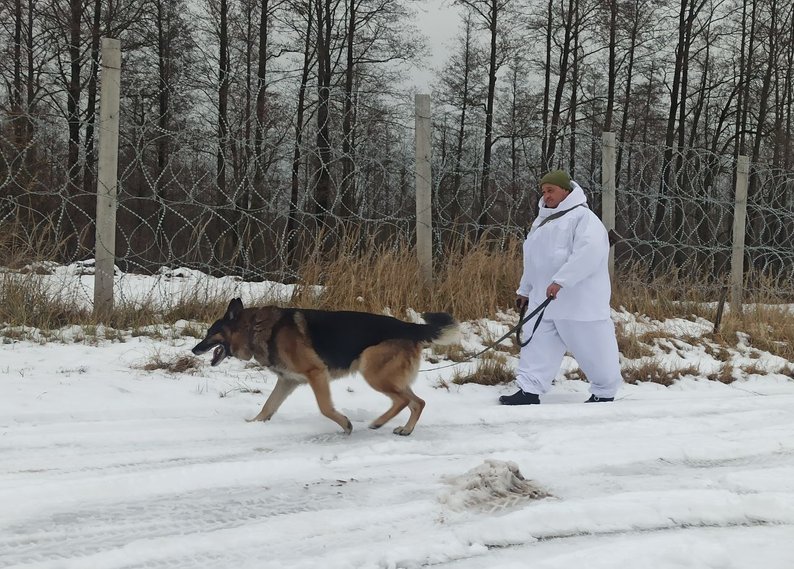 «Це моя третя рука, очі, вуха і ніс»: кінолог з Волині тренує собак для охорони держкордону