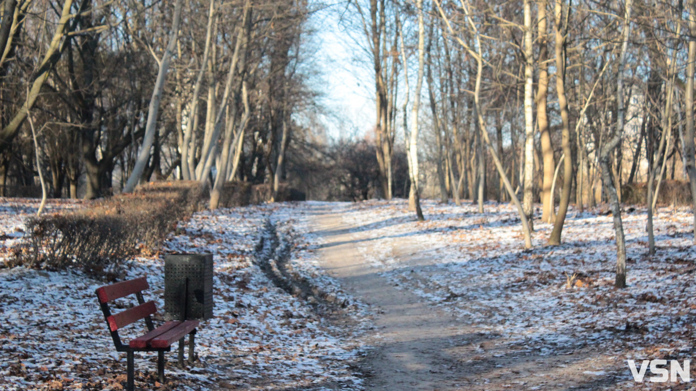 Засніжений Луцьк: як виглядають парки та двори міста взимку напередодні Нового 2026 року. Фоторепортаж