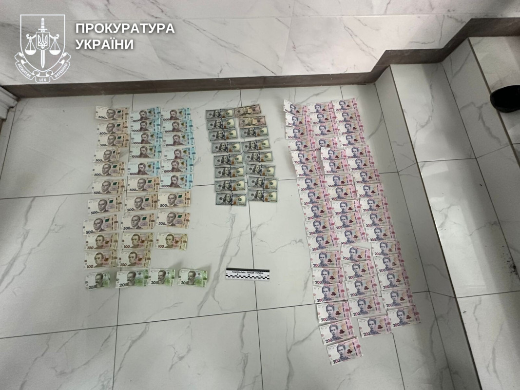 19-річну волинянку судитимуть за обман пенсіонерки на понад пів мільйона гривень