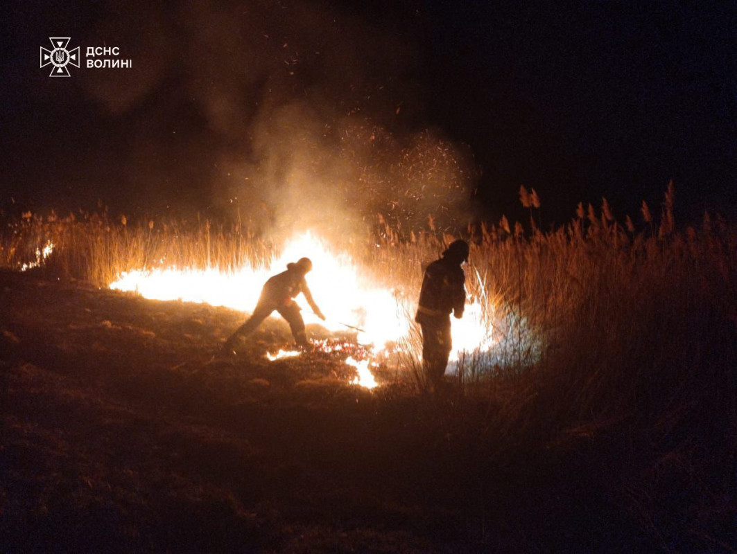 На Волині понад 12 годин гасили торф: за добу ліквідували 13 загорань сухої трави на 10 гектарах