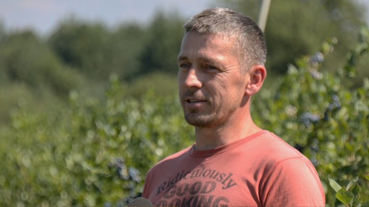 Лохина замість окопів: як ветеран АТО з Волині після поранення створив успішний ягідний бізнес