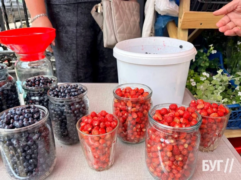 Сезон чорниці: скільки коштують ягоди на волинському ринку