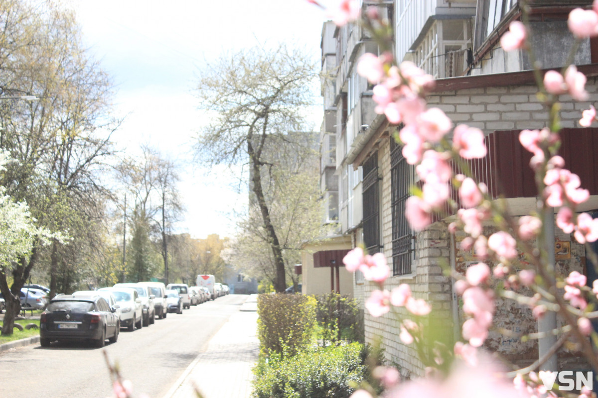 Як виглядає парк 900-річчя у Луцьку навесні 2026. Фоторепортаж