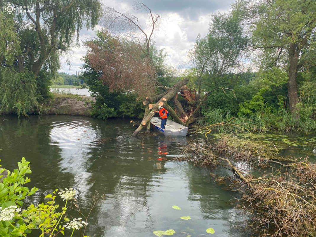 Біля Луцька в річку впало дерево 