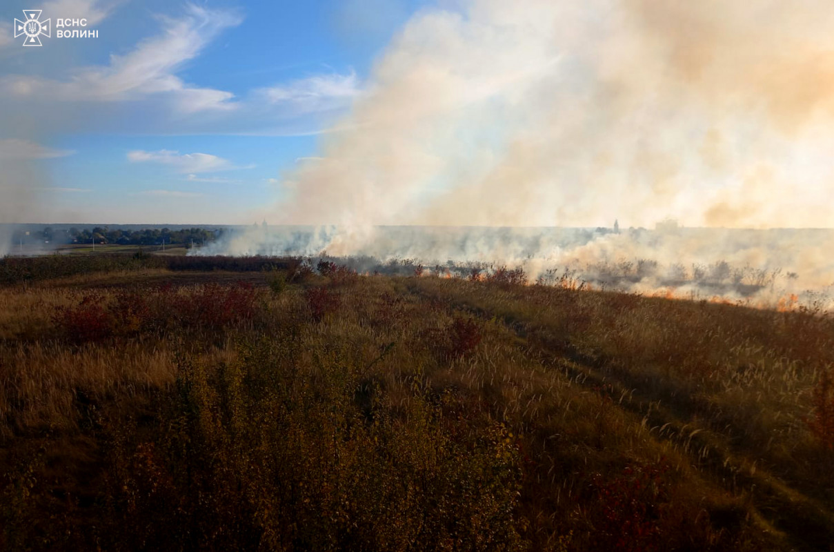 На Волині горіла суха трава на площі 2,5 га